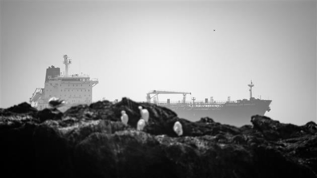 Ship Entering San Francisco Bay
