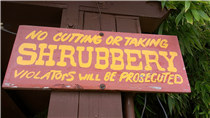 Shrubbery
