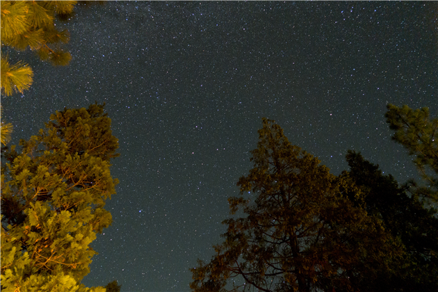 Stars from Pine Mountain Lake