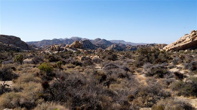 Barker Dam and Wall Street Mill