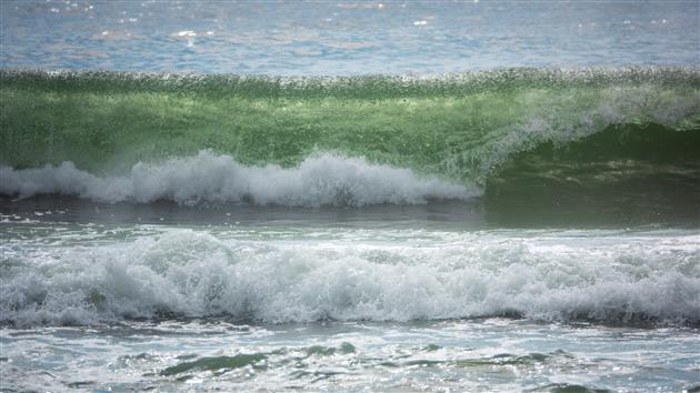 Beautifully lit wave at Fort Funston