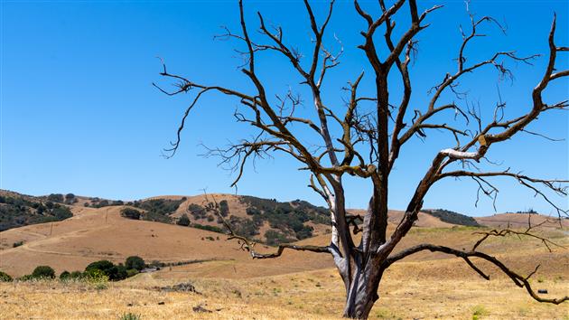 Bull Valley Trail to Port Costa