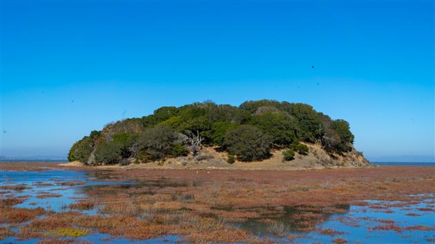 China Camp State Park