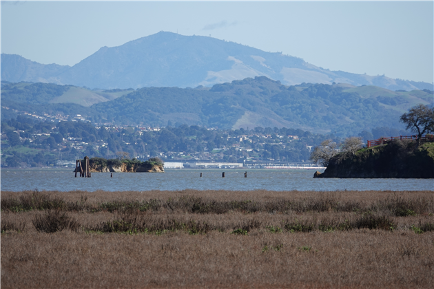 China Camp State Park