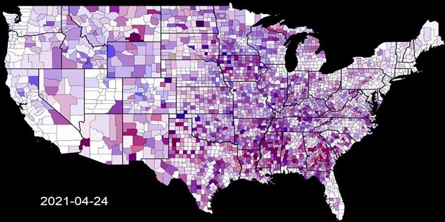 Coronavirus Visualization Update