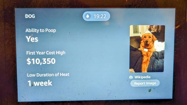 Dogs, Ability to Poop, Echo Show