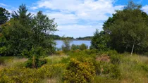 Fernworthy Reservoir