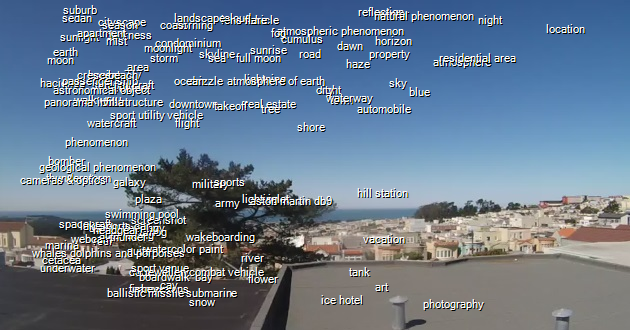 Google Cloud Vision Sightings