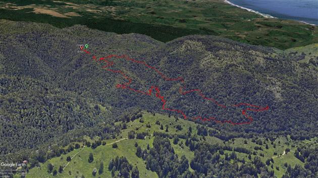 Grabtown Gulch and Borden Hatch Mill in Purisima Creek