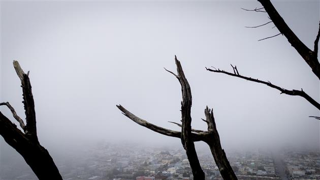 Grand View of Fog