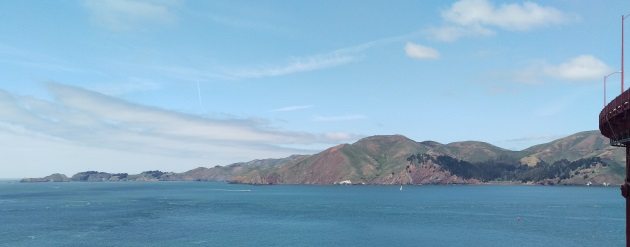 Humpback Whales in Golden Gate