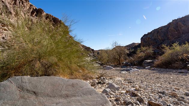 Ladder Canyon and Painted Canyon