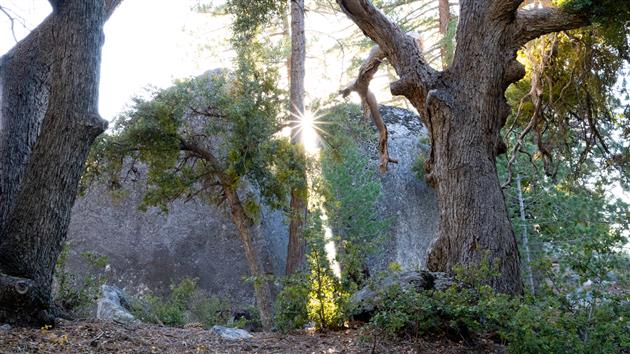 Large boulders in Mount San Jacinto State Park