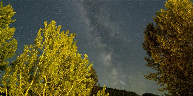 Milky Way in Jasper, Alberta