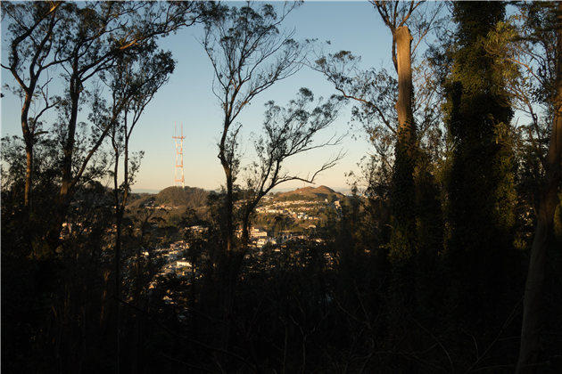 Mount Davidson 360 4K