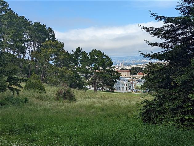 Philosopher's Way in McLaren Park