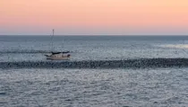 Photo of many birds surrounding a boat in Santa Cruz