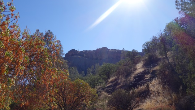 Pinnacles National Park