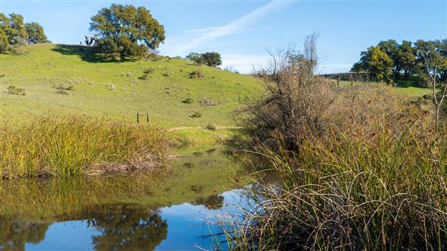 Pond as seen from Pond Trail in Shiloh Ranch Regional Park.