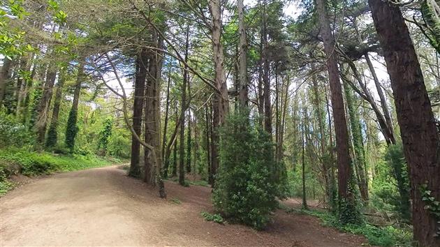 Presidio Loop Hike