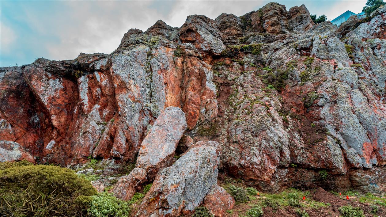 Rocky Outcrop Park - I Thought He Came With You
