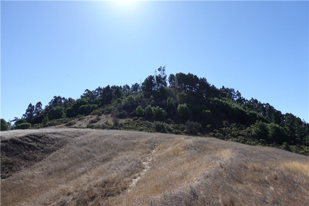 Round Top in Sibley Volcanic Regional Preserve