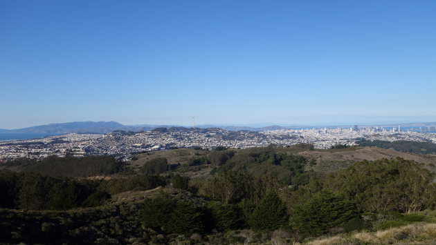 San Bruno Mountain