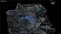 San Francisco Street Tree Datalapse