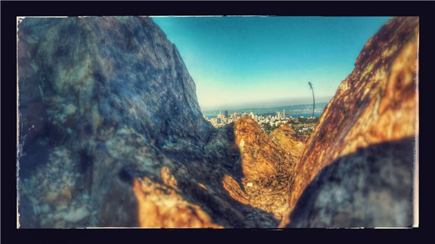 San Francisco from Mount Davidson