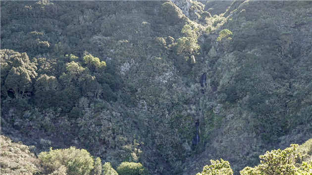 San Pedro Valley Park Waterfall Loop