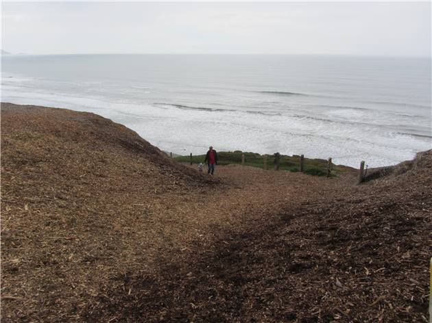 Sand Ladder at Fort Funston