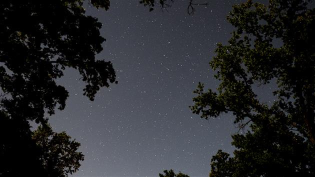 Stars over Columbia State Historic Park