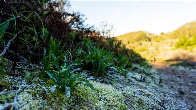 Summit Loop, San Bruno Mountain