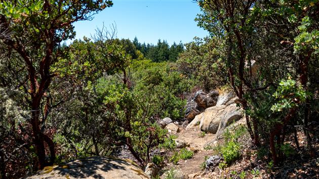 Teague Hill Preserve