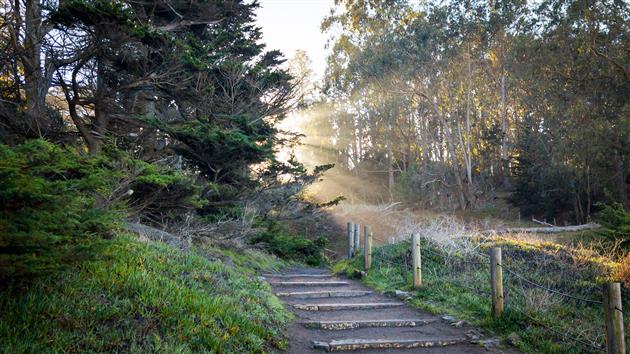 Trail at Lands End, San Francisco