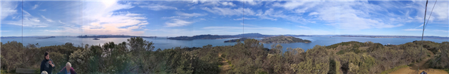 Turkey Vultures on Angel Island