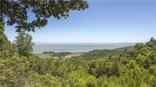 View from Bay View Trail at China Camp State Park