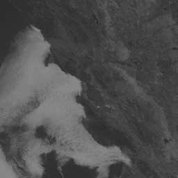 Golden Gate GOES-West CONUS - Band 2 at Tuesday October 07, 2025 12:33