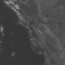 Golden Gate GOES-West CONUS - Band 2 at Saturday October 11, 2025 08:32