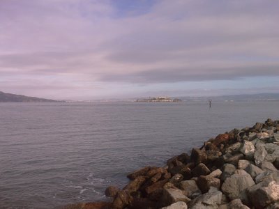 Alcatraz from Chrissy Field