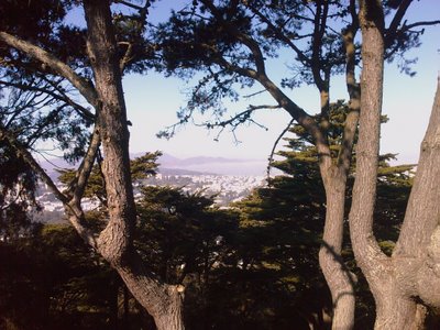 View from Buena Vista Park