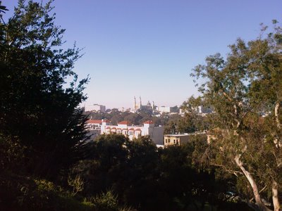 View from Buena Vista Park