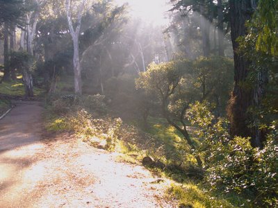 Buena Vista Park