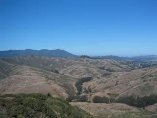 Mount Tamalpais from Wolf Ridge Trail