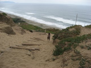 Sand Ladder at Fort Funston