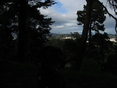 Top of Strawberry Hill in the middle of Stow Lake